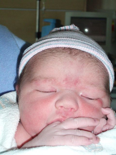 Close up of the cutie